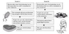 Introduction to Models